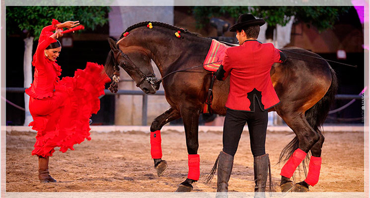 Feria del Caballo - Cabalcor
